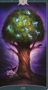 12168461_1147424098619465_556561636_o